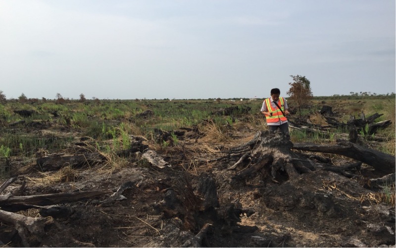 Petugas KLHK memeriksa lokasi kebakaran lahan atas konsesi PT Rambang Agro Jaya di Kabupaten Ogan Komering Ilir, Sumatra Selatan.  - Istimewa