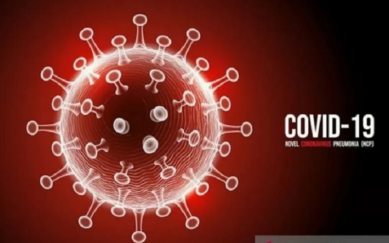 Ilustrasi Corona Virus Disease 2019 (Covid-19). - Antara