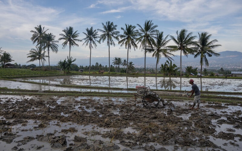Petani membajak sawahnya yang berada di lereng bukit menggunakan traktor tangan di Desa Baliase Boya, Sigi, Sulawesi Tengah, Sabtu (27/11/2021). Badan Meteorologi, Klimatologi, dan Geofisika (BMKG) mengingatkan kewaspadaan terhadap ancaman dampak fenomena La Nina di akhir tahun pada ketahanan pangan karena berpotensi merusak tanaman akibat banjir, hama, dan penyakit tanaman. - Antara/Basri Marzuki.