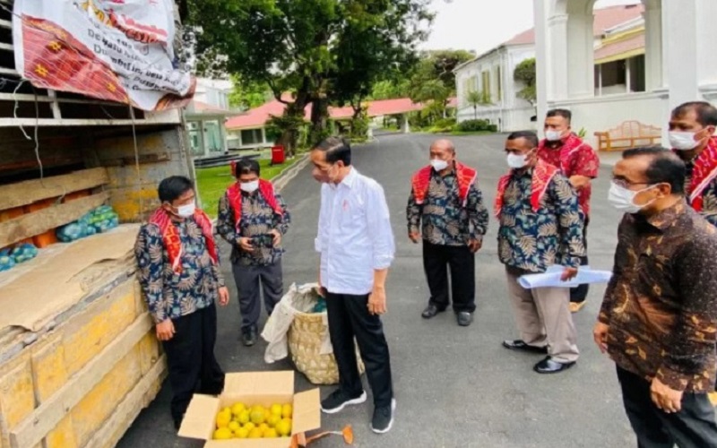 Presiden Jokowi menerima 3 ton oleh-oleh buah jeruk dari warga Karo di istana kepresidenan Jakarta, Senin (6/12/2021). - Antara