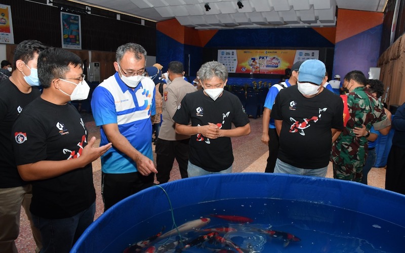 Direktur Operasi dan Produksi PKT Hanggara Patrianta melihat ikan koi yang dilombakan dalam PKT Bontang KOI Show 2021. - JIBI