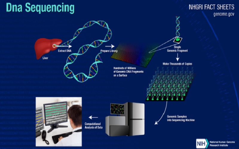 Tangkapan layar genome sequencing. JIBI - Bisnis/Nancy Junita @genome.goh