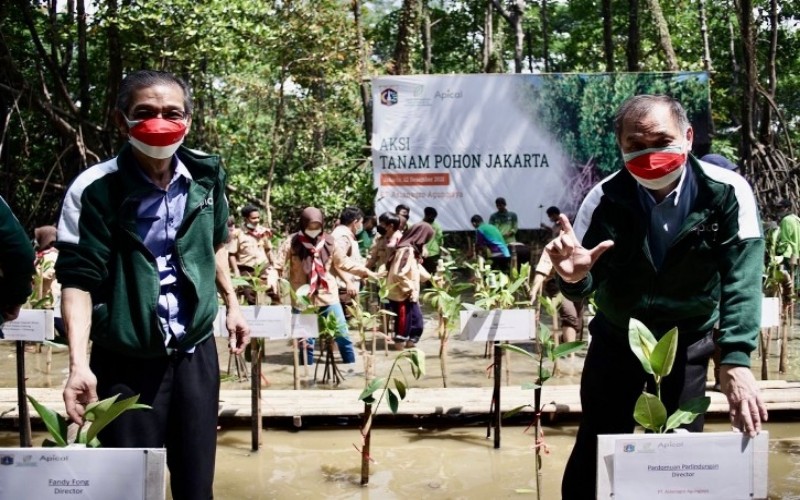 Apical Group melaksanakan program perlindungan mangrove bersama Pemprov DKI Jakarta.  - Istimewa