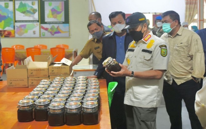 Gubernur Riau Syamsuar (kedua kanan) sedang melihat produk Madu Kuansing. Produsen madu lokal itu meminta bantuan pemda agar dapat menjual madu di gerai ritel modern.  - Istimewa