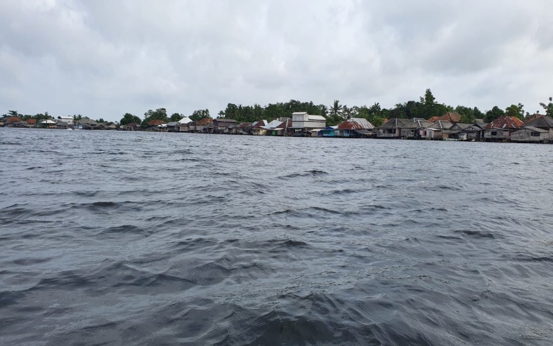 Desa Sungai Ceper, Kecamatan Sungai Menang, Kabupaten Ogan Komering Ilir (OKI), Provinsi Sumatra Selatan yang masih terkendala akses telekomunikasi. istimewa