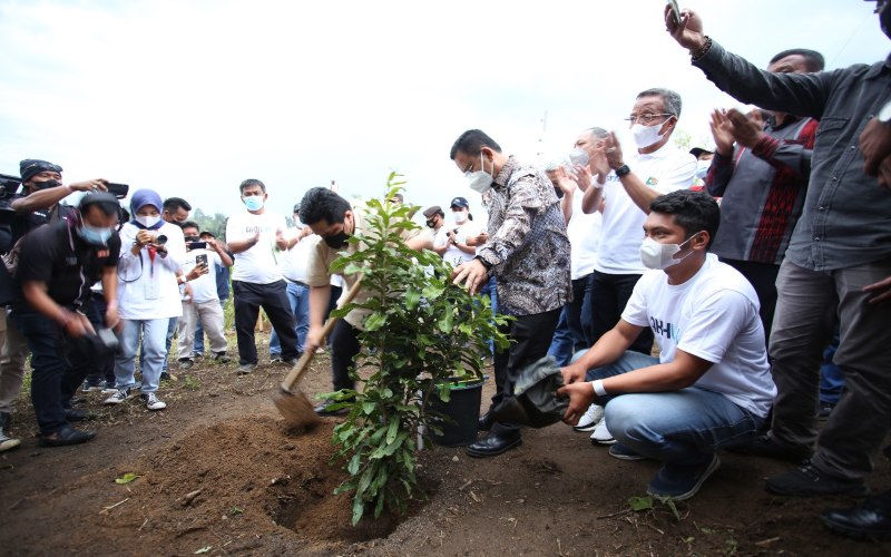 Menteri BUMN Erick Thohir melakukan penanaman pohon di Toba - Inalum