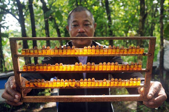 Ilustrasi. Seorang petani menunjukkan tempat royal jelly lebah madu - Antara