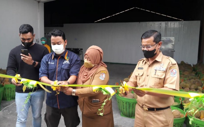 Peresmian pabrik durian kedua milik PT Agro Semesta Utama di Kecamatan Tanjung Morawa, Kabupaten Deliserdang, Sumatra Utara, Senin(17/1/2022).  - Istimewa