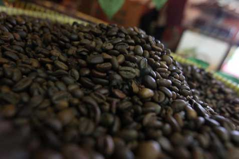 Ilustrasi biji kopi robusta yang siap diekspor - Antara 