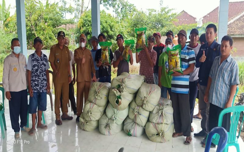 Sejumlah petani padi di Kecamatan Lempuing Jaya, Kabupaten OKI, menerima bantuan benih padi dari Pemkab OKI untuk sawah yang terdampak banjir.  - Istimewa