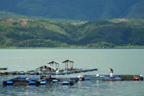 Danau Singkarak di Sumatra Barat. - Antara/Iggoy El Fitra