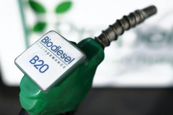 Ilustrasi bahan bakar Biodiesel B20 - Reuters/Mike Blake