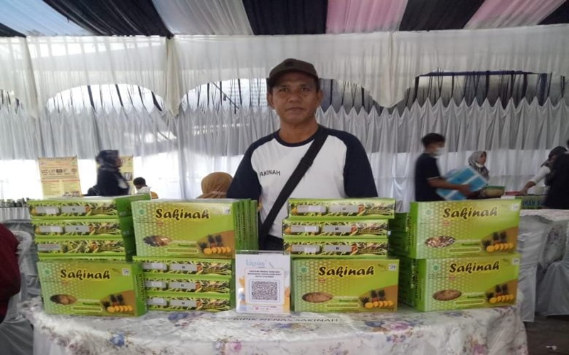 Mardanis pemilik kebun nanas dengan luas sekitar 3 hektare sukses membangun bisnis keripik nanas dengan produksi hingga 100 kilogram sebulan - Arif Gunawan