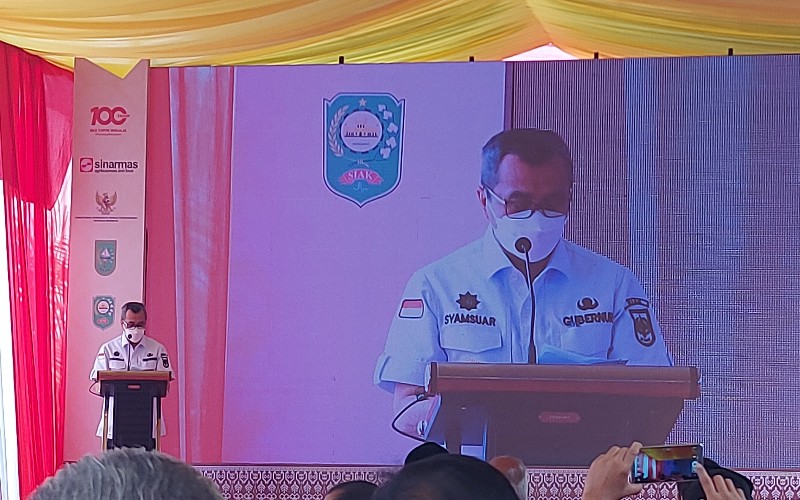 Gubernur Riau Syamsuar saat memaparkan target program peremajaan kelapa sawit rakyat tahun ini sebesar 14.900 hektare.  - Bisnis/Arif Gunawan