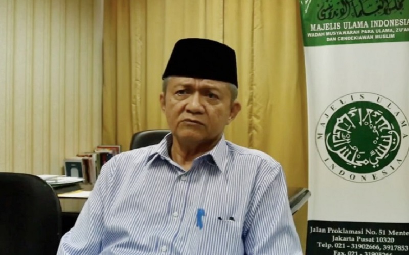 Wakil Ketua Umum Majelis Ulama Indonesia (MUI) Anwar Abbas. - nu.or.id