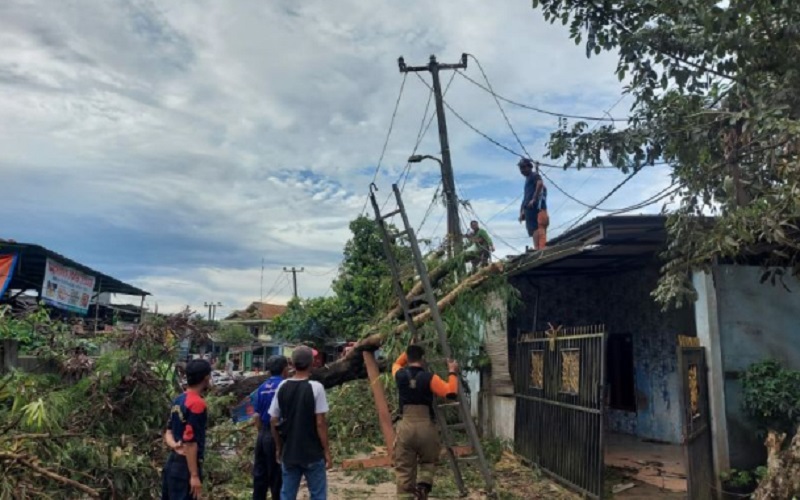 Petugas Badan Penanggulangan Bencana Daerah serta Dinas Lingkungan Hidup dan Kebersihan Kabupaten Tangerang di Provinsi Banten membereskan batang pohon yang tumbang dan menimpa bagian rumah warga. - Antara