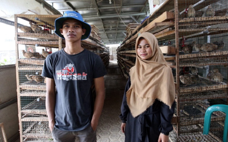 Uning Sari (kanan), petani milenial bidang peternakan puyuh di Kabupaten Sumedang. - Bisnis