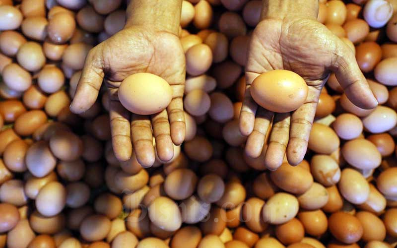 Kenaikan Harga Telur Ayam Dorong Inflasi di DIY Jelang Ramadan
