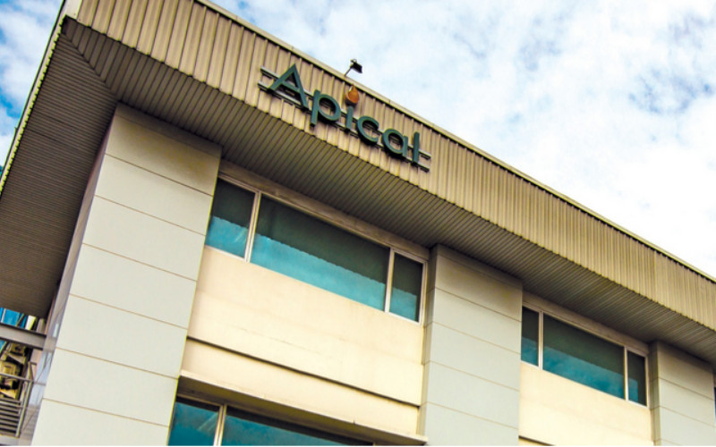 Apical memiliki 11 fasilitas pemrosesan di seluruh dunia: 6 kilang, 3 pabrik biodiesel, pabrik penghancur inti dan pabrik kimia oleo; dengan kapasitas keseluruhan lebih dari 10 juta metrik ton (MT) per tahun.  - APICAL