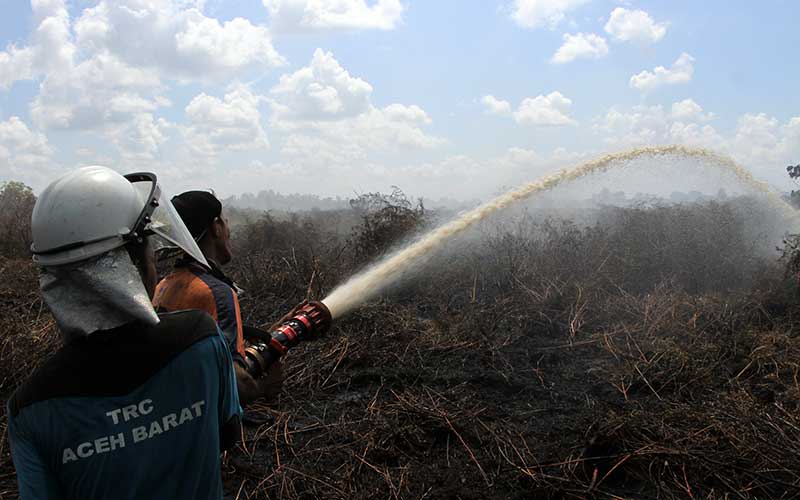 Ilustrasi kebakaran hutan / Antara