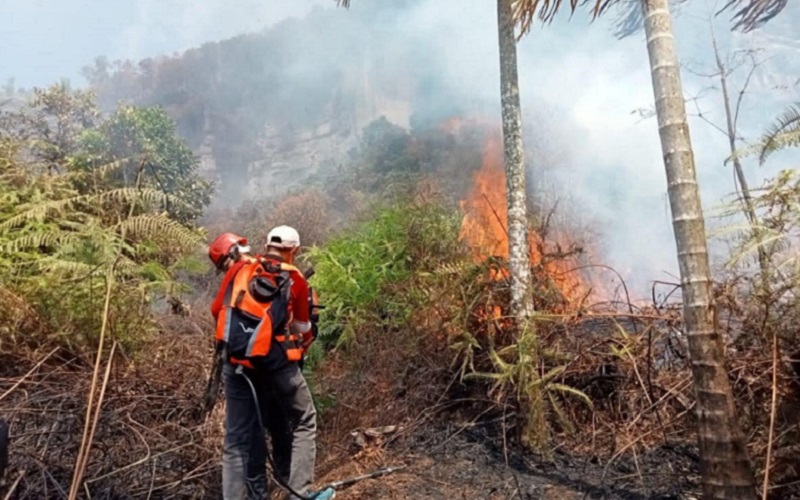 Brigade Dalkarhutla KPHL Kabupaten Limapuluh Kota dan Dinas Kehutanan Provinsi Sumatra Barat sedang berjibaku memadamkan api yang terjadi di daerah Harau, Limapuluh Kota, Sumbar, Rabu (18/5/2022).  - Istimewa