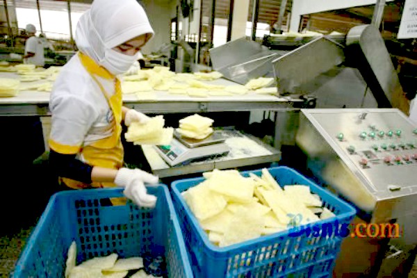 Pekerja di pabrik pengolahan makanan - JIBI