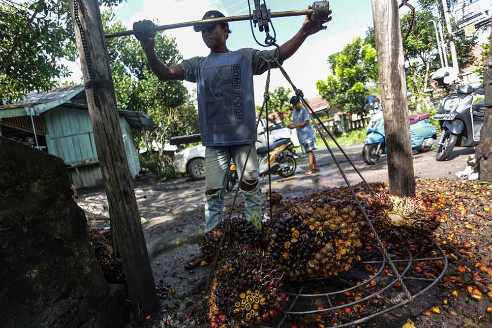 Pekerja menimbang buah kelapa sawit di salah satu tempat pengepul kelapa sawit di Jalan Mahir Mahar, Palangka Raya, Kalimantan Tengah, Selasa (26/4/2022). Antara - Makna Zaezar