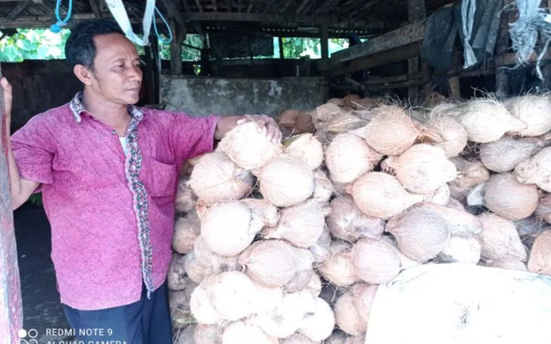 Pedagang pengumpul kelapa di Jalan Lingkar Selatan Rangkasbitung Kabupaten Lebak, Banten, menunggu pelanggan dari Tangerang dan Jakarta. - Antara/Mansur