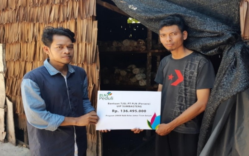 PLN UIP Sumbagteng melaksanakan program tanggung jawab sosial lingkungan dengan membina usaha jamur di Provinsi Riau.  - Istimewa