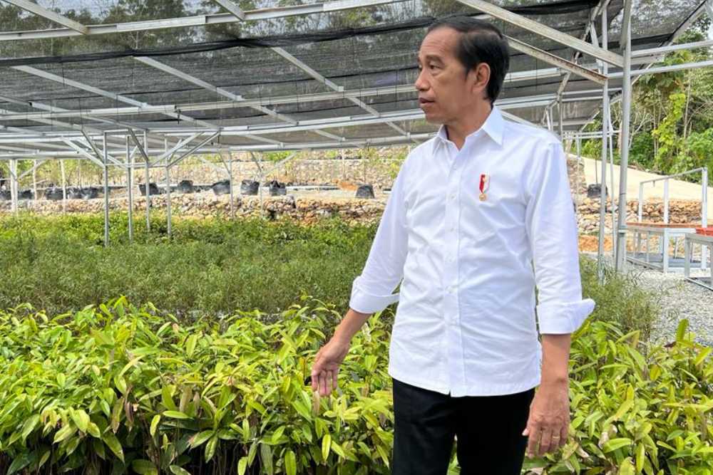 Presiden Jokowi di lokasi Persemaian Mentawir, Kalimantan Timur, Rabu (22/6/2022)  -  Maria Y. Benyamin