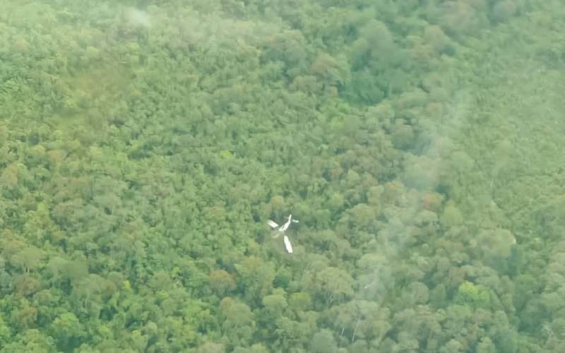 Penampakan dari udara lokasi kecelakaan Pesawat Susi Air jenis Pilatus Porter (PC-6) nomor penerbangan PK-BVM rute Timika-Dama. - Basarnas
