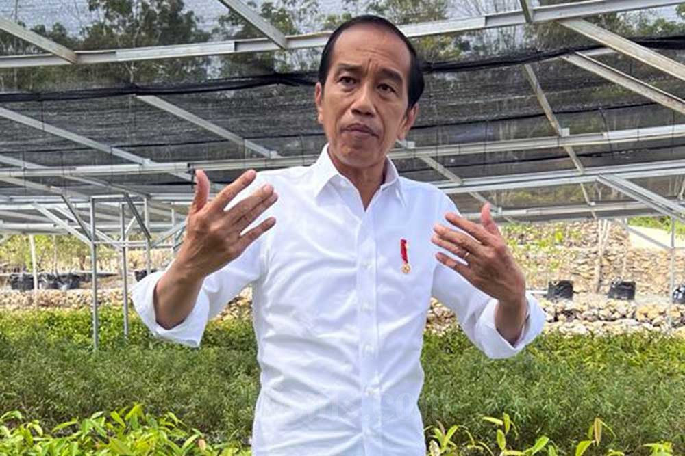 Jokowi Optimistis Bisa Swasembada Beras di Tengah Tantangan Pangan