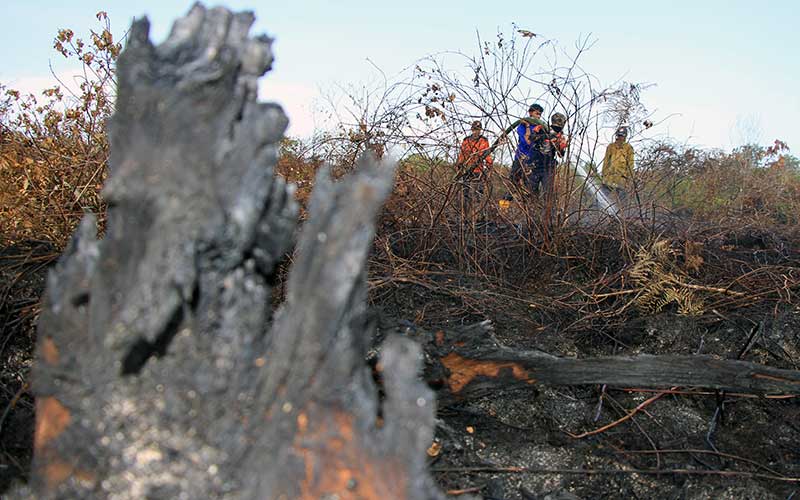 Sembilan Orang Dalang Kebakaran Hutan di Riau Ditangkap