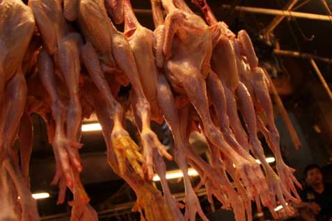 Harga Pangan Hari Ini, 4 Agustus: Harga Daging dan Telur Ayam Turun