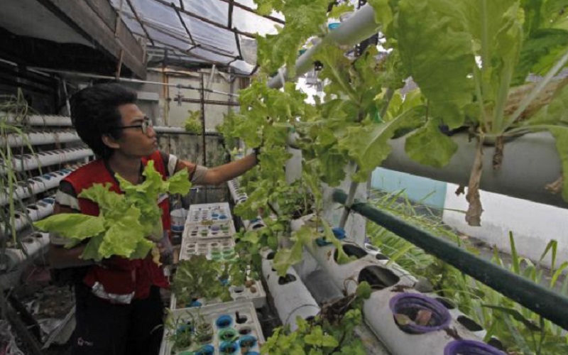 BI Jabar Yakin Urban Farming Bisa Jadi Salah Satu Solusi Tekan Inflasi