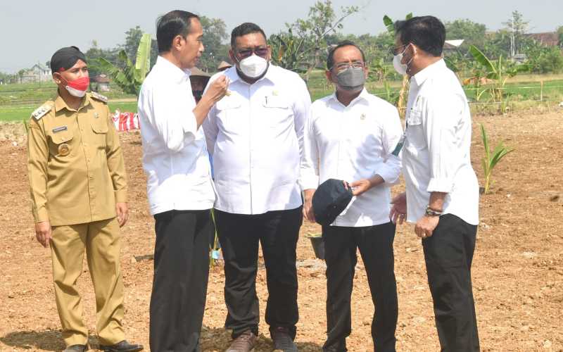 Antisipasi krisis pangan, Jokowi mendorong pemanfaatan lahan pekarangan dan lahan tidak produktif untuk ditanami komoditas pangan seperti kelapa genjah  -  Sekretariat Presiden