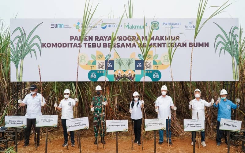 Pupuk Indonesia: Program Makmur Tingkatkan Produktivitas Tebu