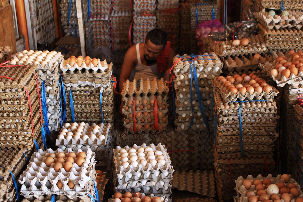 Harga Telur Ayam Di Sumbar Rp30.000 Per Kg, Pemprov Gandeng Japfa Gelar OP