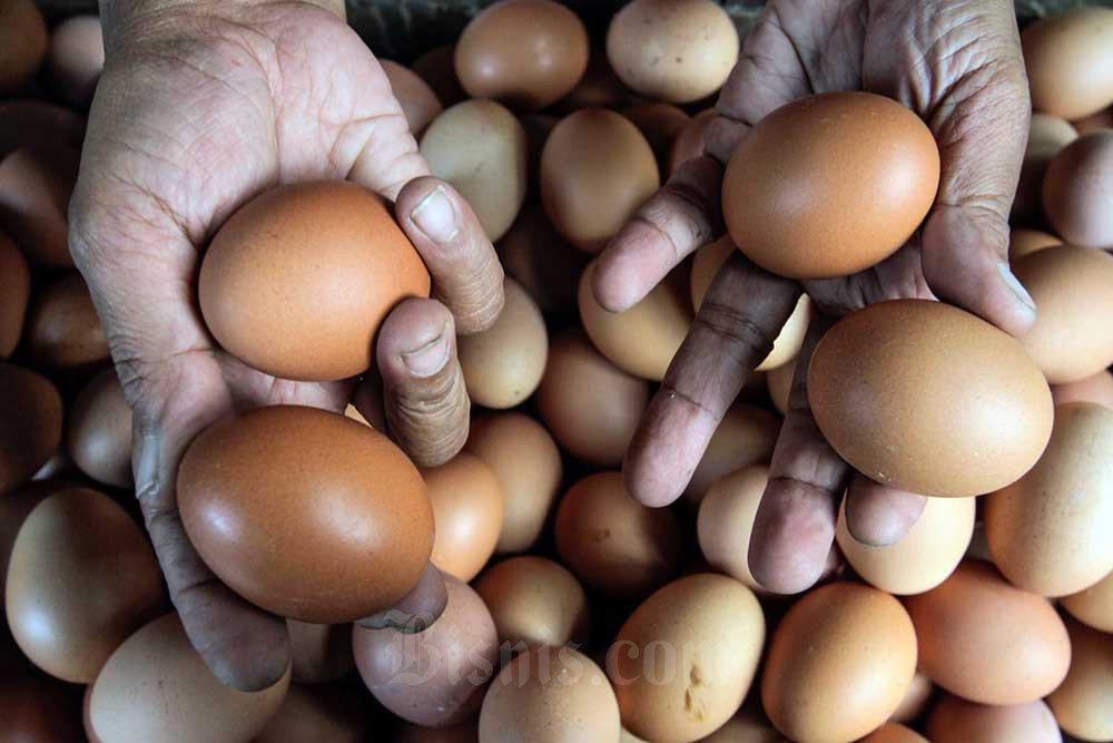 Harga Telur Ayam di Kabupaten Cirebon Mulai Turun
