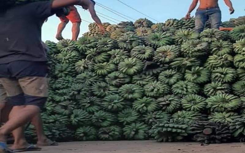 Kepok Krecek banana exporters are crowded with infrastructure