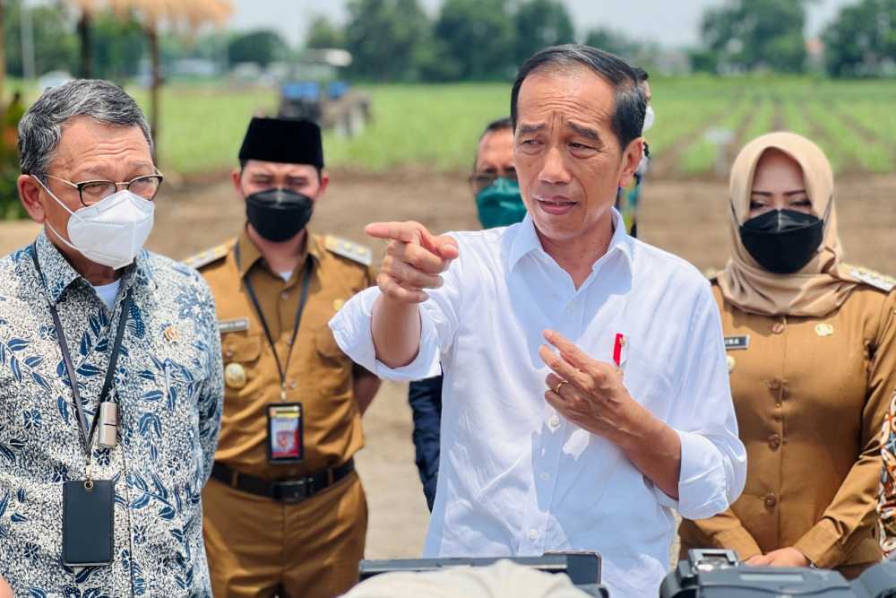 Jokowi Telepon Zelensky Bahas Situasi Ukraina Hingga Black Sea Grain Initiative