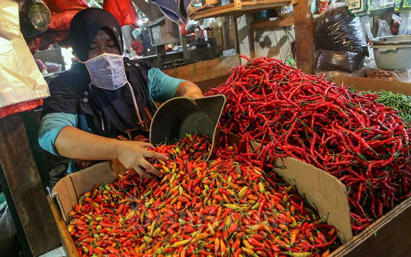 Harga Cabai Rawit Merah Tembus Rp120 Ribu Per Kilogram  Bisnis.com