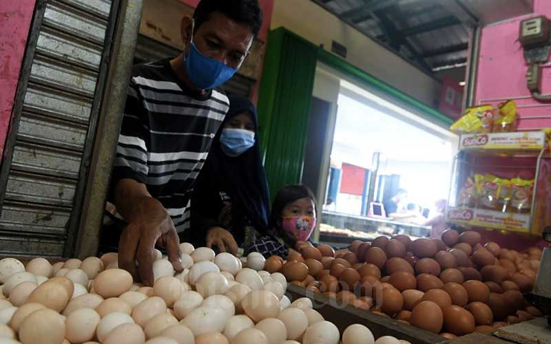 Jelang Lebaran, Harga Telur Ayam Merangkat Naik - Bisnis.com