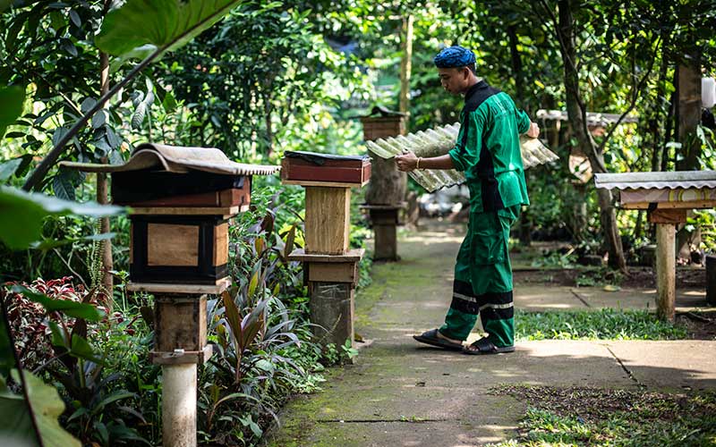 Budidaya Lebah Madu di Hutan Kota DKI Jakarta - Bisnis.com