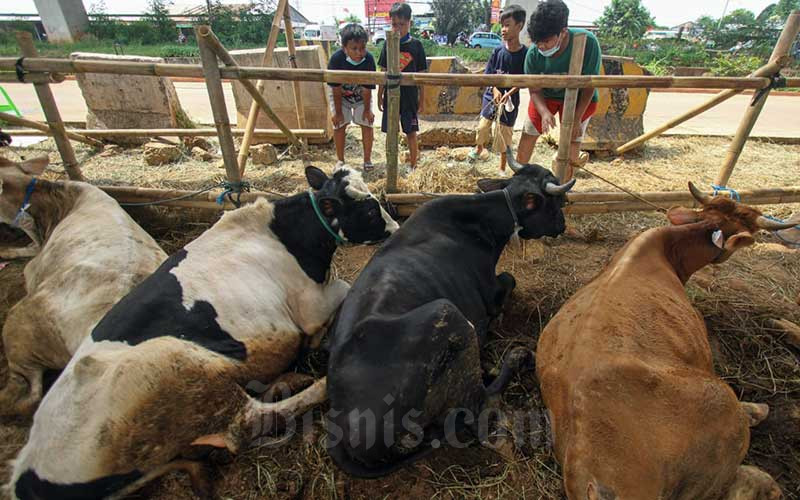 Kemenag Keluarkan Aturan Terkait Pelaksanaan Kegiatan ...