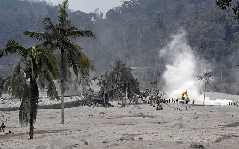 Tim SAR gabungan melakukan pencarian korban di endapan material guguran awan panas Gunung Semeru di Desa Sumber Wuluh, Lumajang, Jawa Timur, Minggu (5/12/2021). Sedikitnya 13 korban dilaporkan hilang dan dalam proses pencarian oleh tim SAR gabungan. ANTARA FOTO/Zabur Karuru