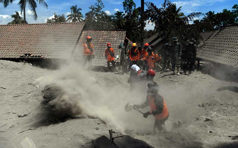 Tim SAR gabungan menggali material guguran awan panas Gunung Semeru saat pencarian korban yang tertimbun material tersebut di Desa Sumberwuluh, Lumajang, Jawa Timur, Selasa (7/12/2021). Berdasarkan laporan Badan Nasional Penanggulangan Bencana (BNPB), jumlah korban meninggal hingga pukul 12.00 WIB hari ini  berjumlah 34 orang dan 16 orang dalam proses pencarian. ANTARA FOTO/Zabur Karuru