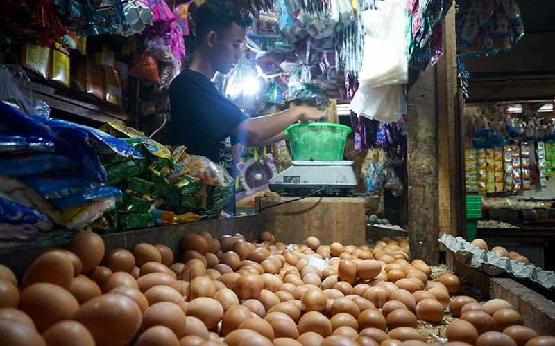 Pedagang menimbang telur ayam di salah satu pasar tradisional di Jakarta, Minggu (23/1/2022). Menteri Perdagangan Muhammad Lutfi mengatakan, harga barang pokok sudah berangsur menurun secara signifikan, salah satunya komoditas telur ayam ras jelang Nataru tembus Rp30.050 per kilogram. Namun setelah masuk tahun baru 2022, telur ayam ras sudah di kisara n Rp19.000-20.000 per kilogram. Bisnis/Suselo Jati