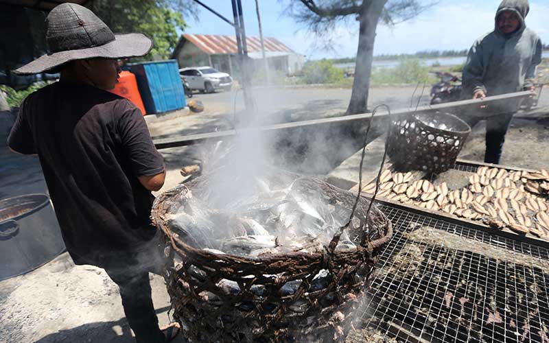 Pekerja menjemur ikan tongkol untuk diolah menjadi ikan kayu atau disebut keumamah di rumah produksi UMKM Lampulo, Banda Aceh, Aceh, Jumat (20/5/2022). Mayoritas pengusaha UMKM pengolahan hasil laut dengan produk berupa keumamah dan ikan teri kering, meningkatkan hasil produksi hingga melebihi 50 persen akibat banyaknya permintaan di pasar tradisional. ANTARA FOTO /Irwansyah Putra