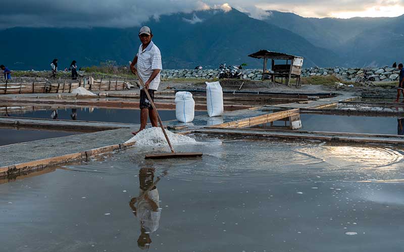 Petani bergegas memanen garam sebelum hujan turun di Palu, Sulawesi Tengah, Rabu (25/5/2022). Sejumlah petani garam di wilayah itu mengaku mengalami penurunan produksi garam selama tahun ini sekitar 20 persen dibanding sebelumnya karena faktor anomali cuaca. ANTARA FOTO/Basri Marzuki